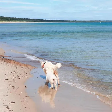 Seemoewe Vakantiehuis Glowe